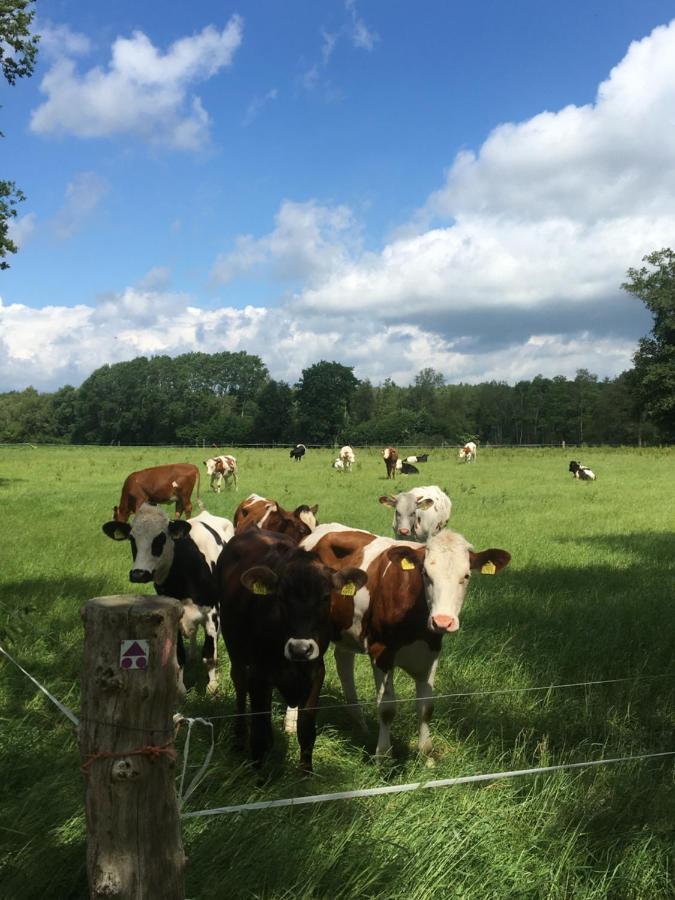 De Steerne, Mooie Plek Aan Het Overijssels Kanaal. Schalkhaar Dış mekan fotoğraf